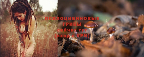 прущие крисы Арсеньев