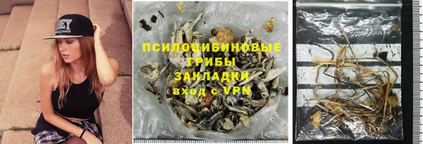 дмт Аркадак