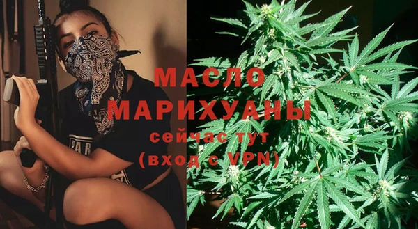 дмт Аркадак