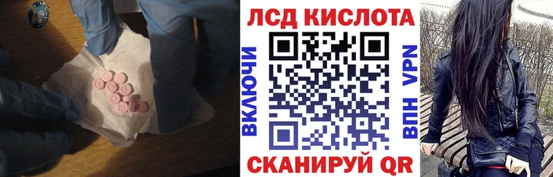 дарнет шоп  Чернушка  Лсд 25 экстази кислота 