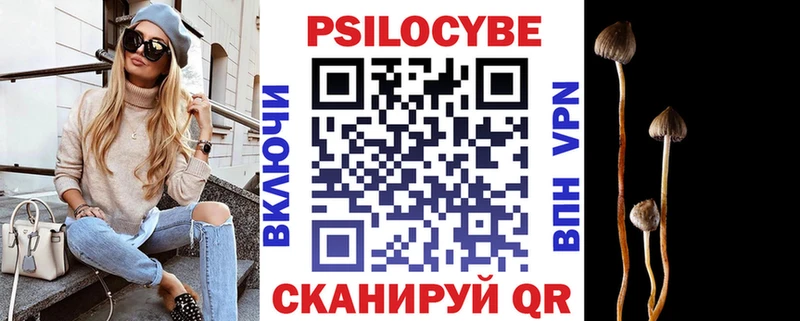 где можно купить   Чернушка  Псилоцибиновые грибы ЛСД 