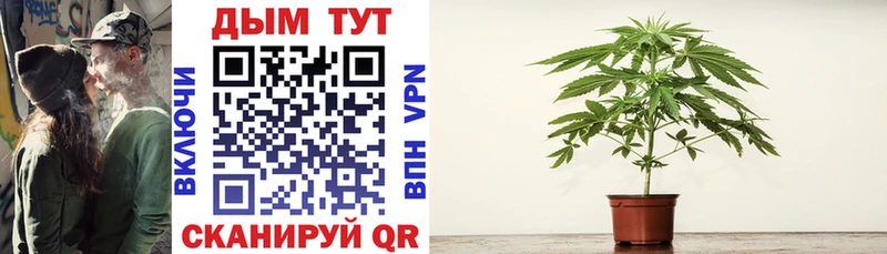 Канабис SATIVA & INDICA гидра как зайти Чернушка